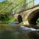 The Oxford Loop Paddle
